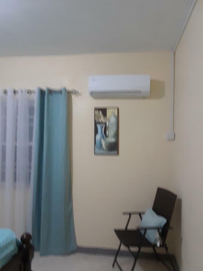 Barrianna Villa モンテゴ・ベイ エクステリア 写真